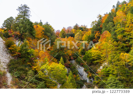 秋の立山黒部アルペンルート　紅葉の黒部ダム（黒部湖） 122773389