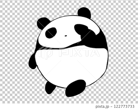 Dash Panda Dash Panda 122773733