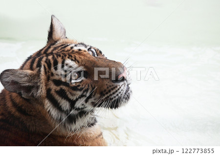 いつもと違って、そんな優しそうな顔みせる時もあるんだね 122773855