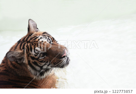 いつもと違って、そんな優しそうな顔みせる時もあるんだね 122773857