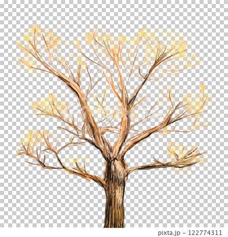 Tree in autumn color pencil drawing, single tree with yellow leaves isolated illustration  122774311