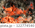 熾火　焚き火 122774540
