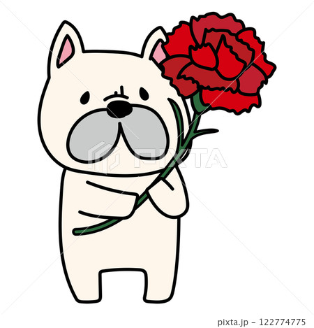 大きなカーネーションを持っているフレンチブルドッグ 122774775