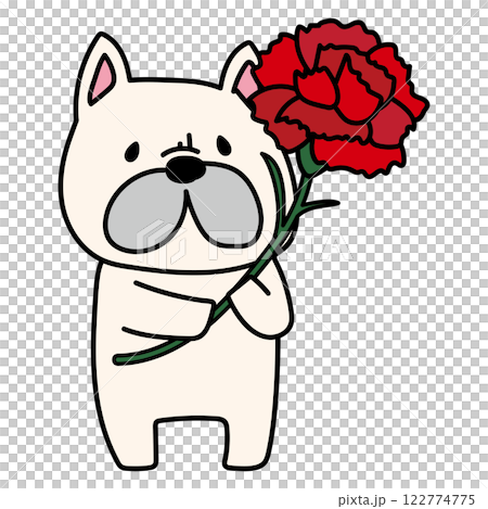 大きなカーネーションを持っているフレンチブルドッグ 122774775