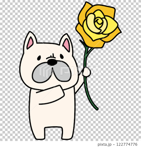 黄色い大きなバラを持っているフレンチブルドッグ 122774776