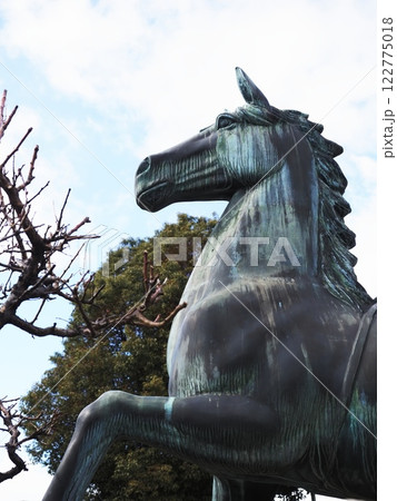 北野天満宮、神馬 北野天満宮、神馬 122775018