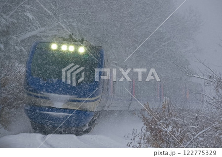 大雪にも負けず 大雪にも負けず 122775329