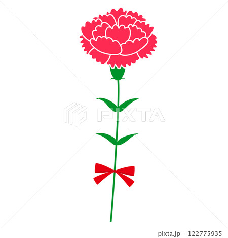 一輪の赤いカーネーション 122775935