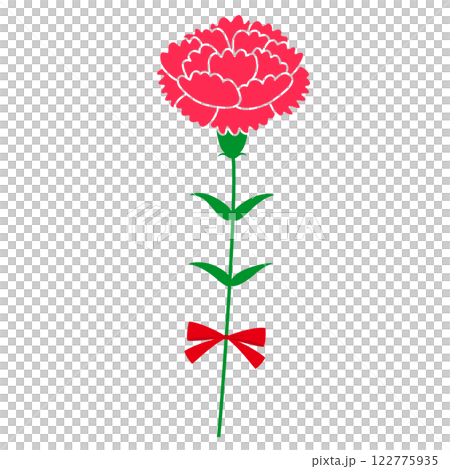 一輪の赤いカーネーション 122775935