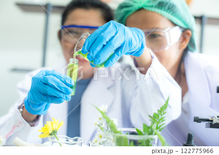 Close up hands woman science lab research for Natural alternative herb and essential oil from fresh flower Close up hands woman science lab research for Natural alternative herb and essential oil from fresh flower 122775966