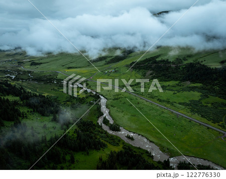 Aerial view of beautiful high altitude forest and grassland landscape 122776330