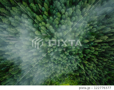 Aerial view of beautiful high altitude forest and grassland landscape 122776377