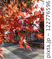 美しい紅葉 122776596