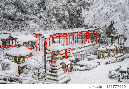 雪の中の連なる赤い鳥居 雪の中の連なる赤い鳥居 122777450