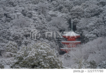 雪化粧された三重塔 雪化粧された三重塔 122777780