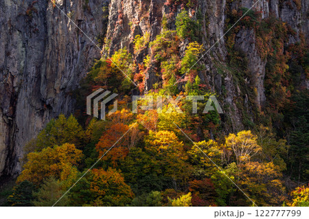 《長野県》紅葉の米子大瀑布・紅葉最盛期 122777799