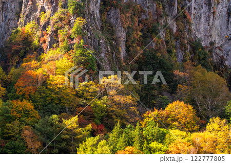 《長野県》紅葉の米子大瀑布・紅葉最盛期 122777805