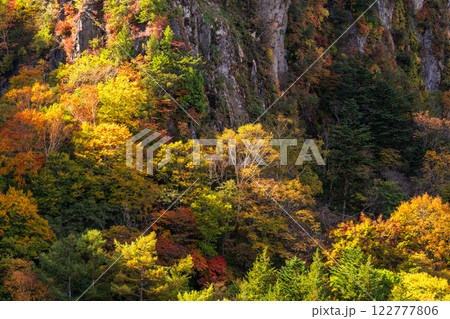 《長野県》紅葉の米子大瀑布・紅葉最盛期 《長野県》紅葉の米子大瀑布・紅葉最盛期 122777806