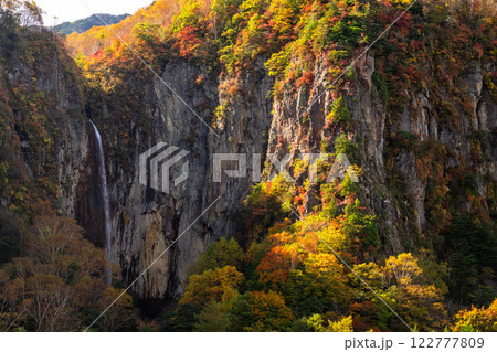 《長野県》紅葉の米子大瀑布・紅葉最盛期 122777809