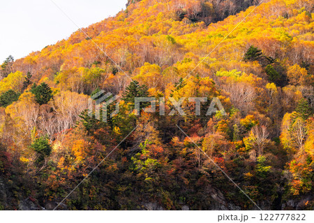 《長野県》紅葉の米子大瀑布・紅葉最盛期 122777822