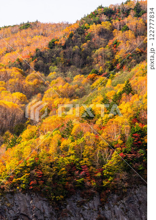 《長野県》紅葉の米子大瀑布・紅葉最盛期 《長野県》紅葉の米子大瀑布・紅葉最盛期 122777834