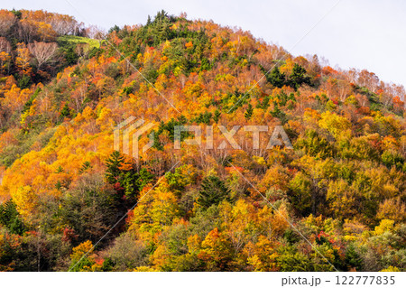 《長野県》紅葉の米子大瀑布・紅葉最盛期 122777835