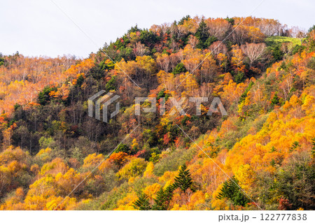 《長野県》紅葉の米子大瀑布・紅葉最盛期 122777838