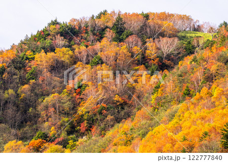 《長野県》紅葉の米子大瀑布・紅葉最盛期 《長野県》紅葉の米子大瀑布・紅葉最盛期 122777840
