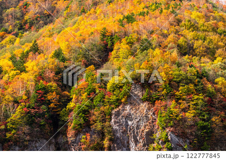 《長野県》紅葉の米子大瀑布・紅葉最盛期 《長野県》紅葉の米子大瀑布・紅葉最盛期 122777845