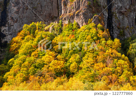 《長野県》紅葉の米子大瀑布・紅葉最盛期 122777860
