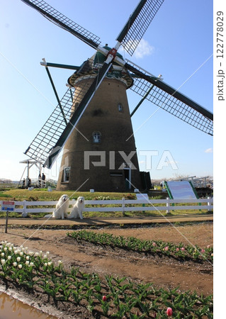 風車 ・・~ ~ Windmill ~ ~・・ ・ ・ ・・・ 風車 ・・~ ~ Windmill ~ ~・・ ・ ・ ・・・ 122778029