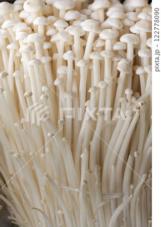 きのこ きのこ 122778090