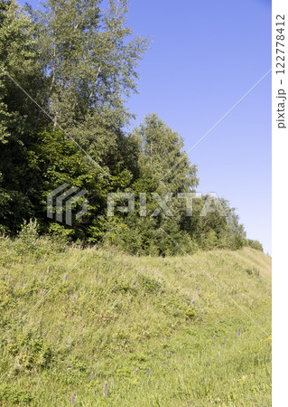 the edge of the mixed forest with deciduous trees and green grass 122778412