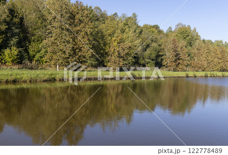 a lake with trees and various shrubs growing on the shore 122778489