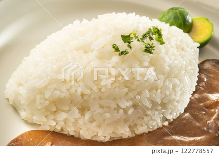 ごはん ごはん 122778557