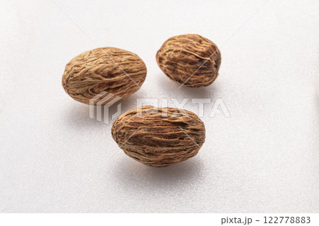 シアバターの実 シアバターの実 122778883