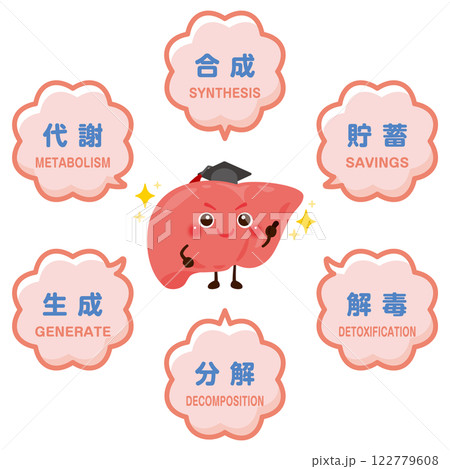 肝臓のキャラクターと肝臓の役割イラスト 肝臓のキャラクターと肝臓の役割イラスト 122779608