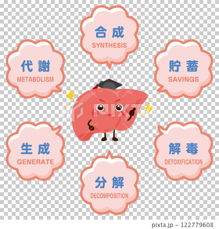 肝臓のキャラクターと肝臓の役割イラスト 肝臓のキャラクターと肝臓の役割イラスト 122779608