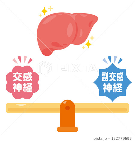 バランスの取れた自律神経と健康的な肝臓のイラスト バランスの取れた自律神経と健康的な肝臓のイラスト 122779695