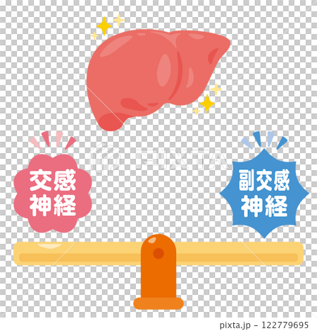 バランスの取れた自律神経と健康的な肝臓のイラスト バランスの取れた自律神経と健康的な肝臓のイラスト 122779695