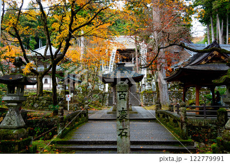 百度石を見守る紅葉の木々 122779991