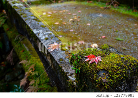 欄干に落ちた赤い紅葉 欄干に落ちた赤い紅葉 122779993
