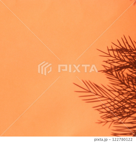 Paper with Pine leaves shadow 122780122