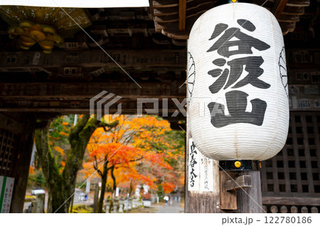 参拝者を出迎える提灯 122780186