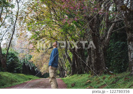 solo traveler in nature concept with asian man camping and sightseeing with pink cherry blossom tree in springtime season solo traveler in nature concept with asian man camping and sightseeing with pink cherry blossom tree in springtime season 122780356