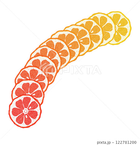 Citrus fruit slice vector background 122781200