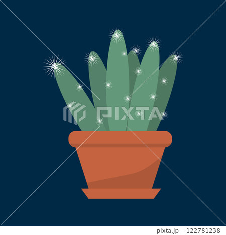 Houseplant cactus in a pot, natural decor for home and interior 122781238