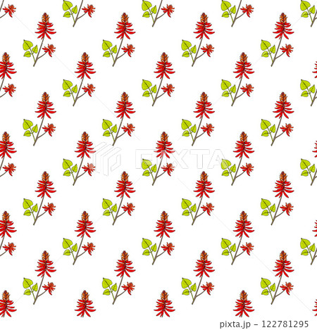 Seamless pattern with Common coral-tree 122781295