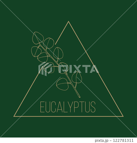 Eucalyptus floral hand drawn logo template Eucalyptus floral hand drawn logo template 122781311