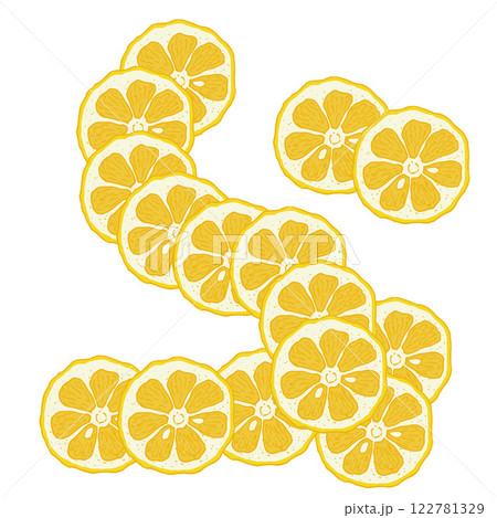 Citrus fruit slice vector background 122781329